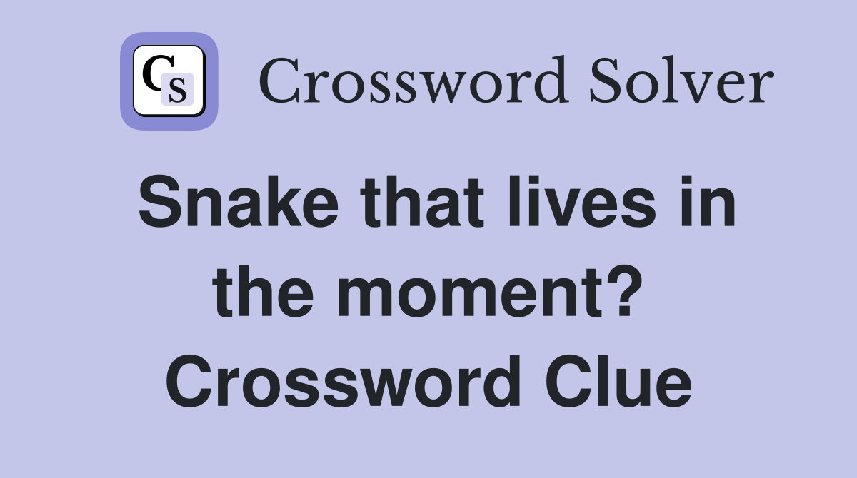 Snake that lives in the moment? Crossword Clue