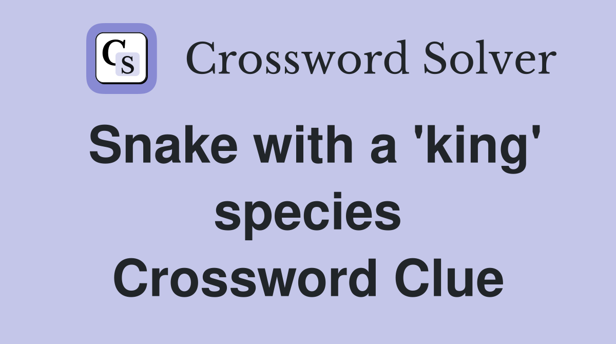 Snake with a 'king' species Crossword Clue