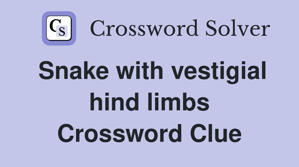 Snake with vestigial hind limbs Crossword Clue