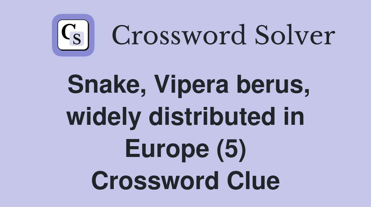 Snake, Vipera berus, widely distributed in Europe (5) Crossword Clue