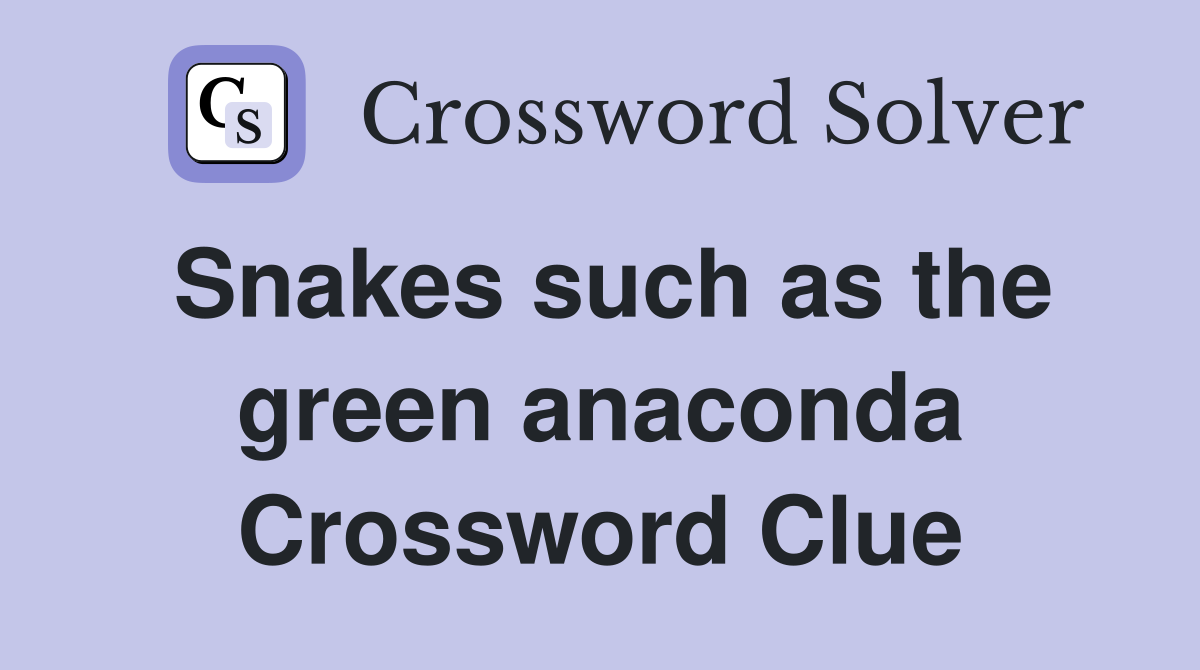 Snakes such as the green anaconda Crossword Clue