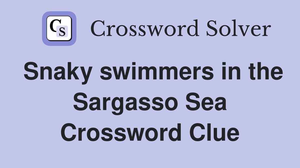 Snaky swimmers in the Sargasso Sea Crossword Clue