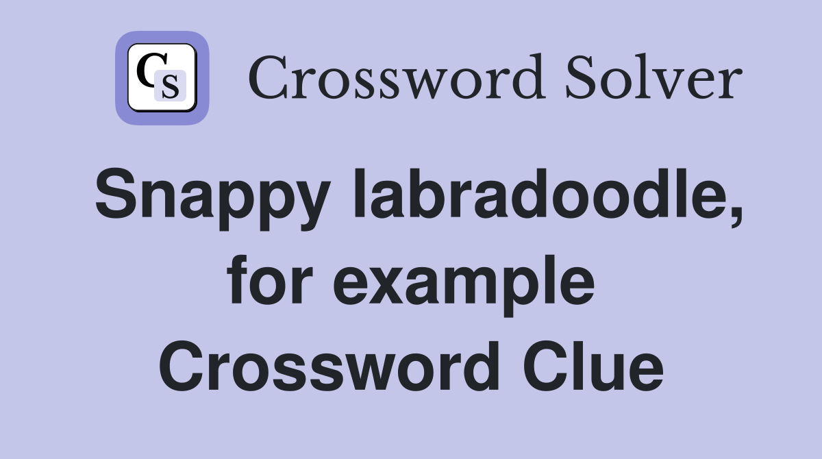 Snappy labradoodle, for example Crossword Clue