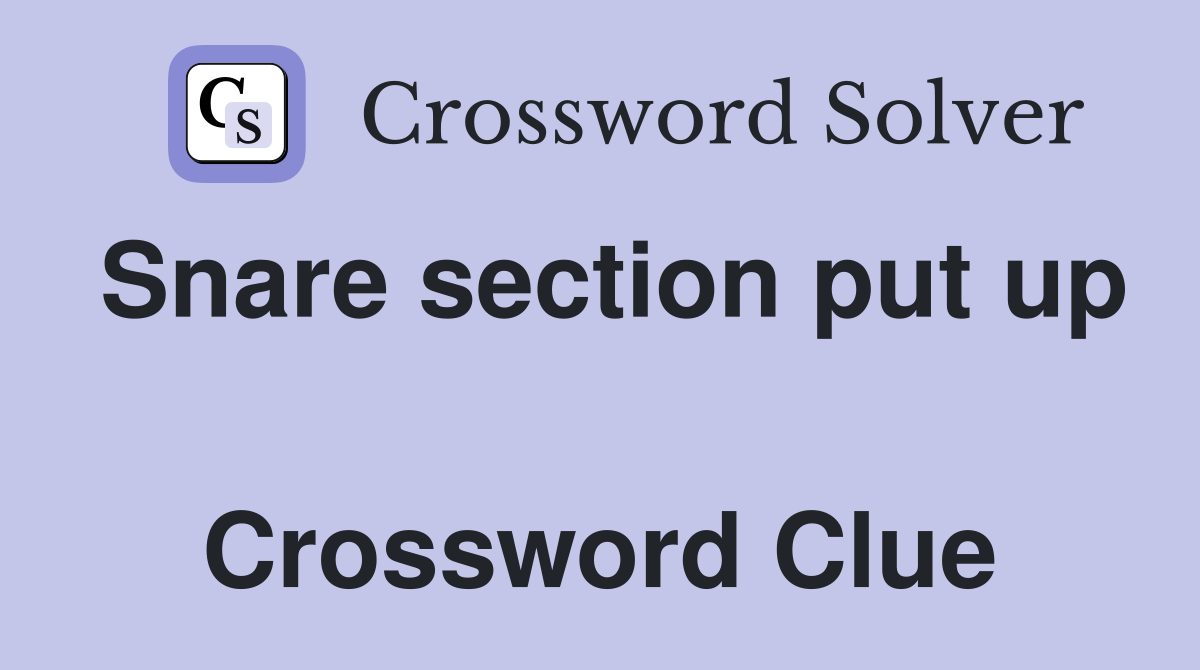 Snare section put up  Crossword Clue