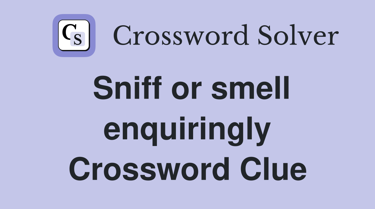Sniff or smell enquiringly Crossword Clue