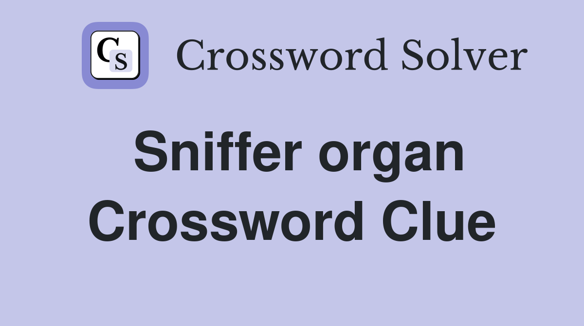 Sniffer organ Crossword Clue