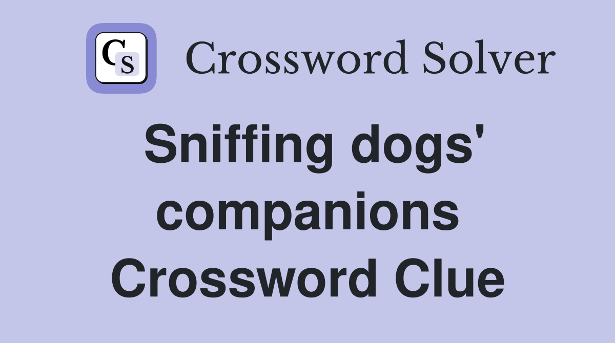 Sniffing dogs' companions Crossword Clue