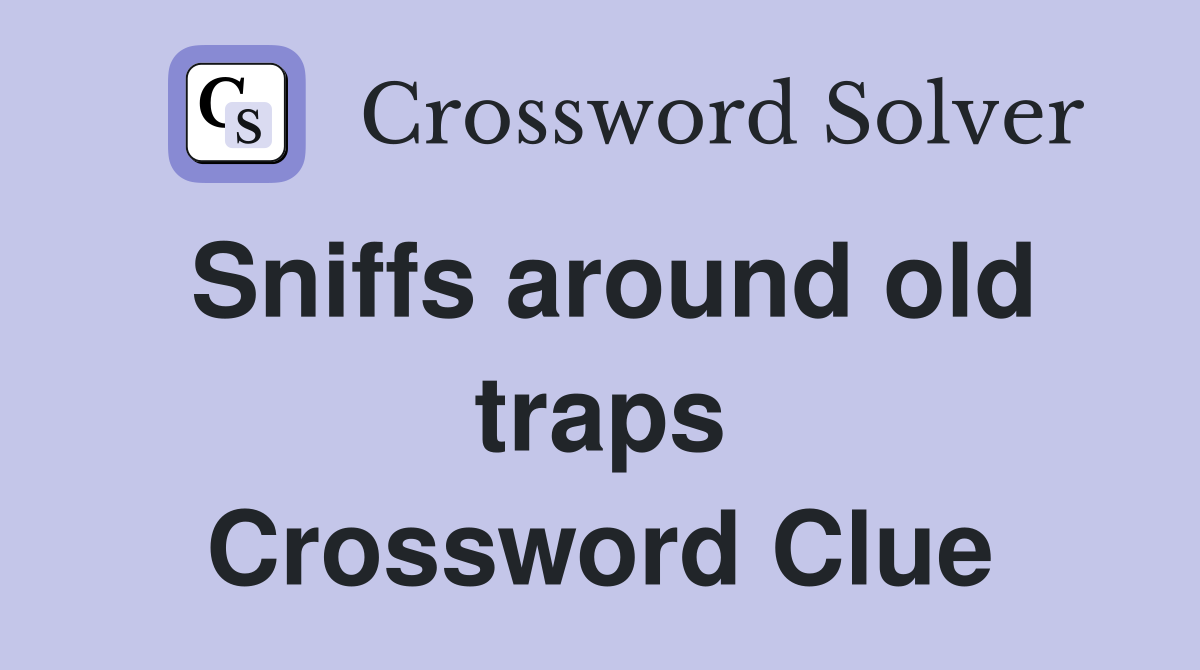 Sniffs around old traps Crossword Clue