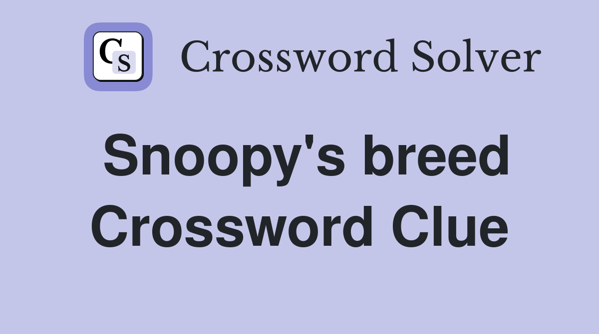 Snoopy's breed Crossword Clue
