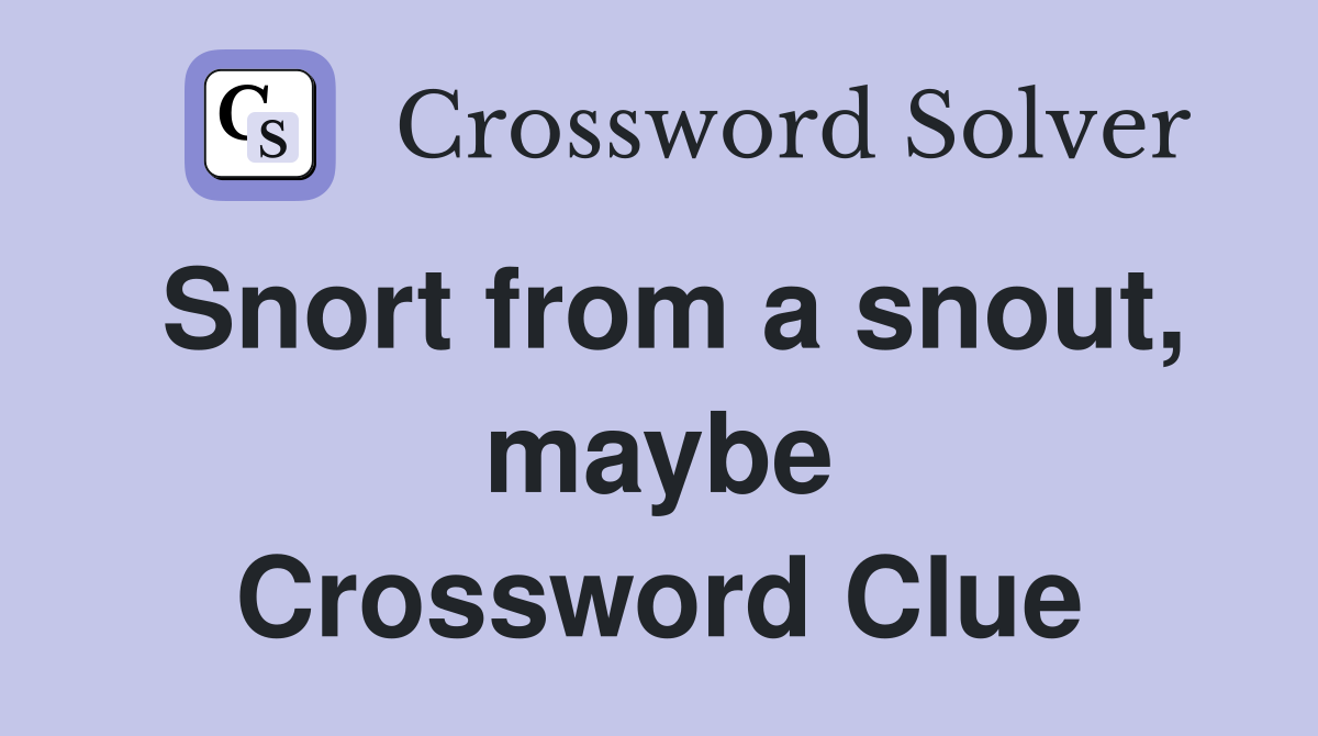 Snort from a snout, maybe Crossword Clue