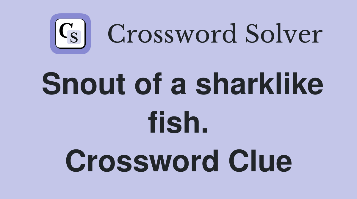 Snout of a sharklike fish. Crossword Clue