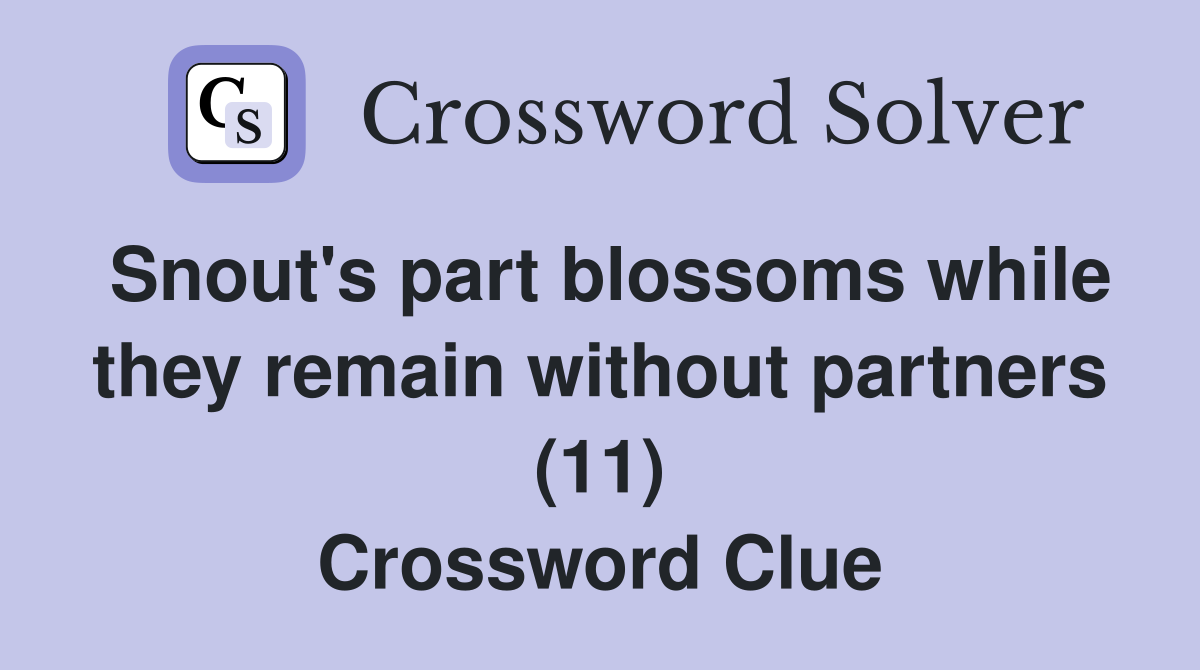 Snout's part blossoms while they remain without partners (11) Crossword Clue