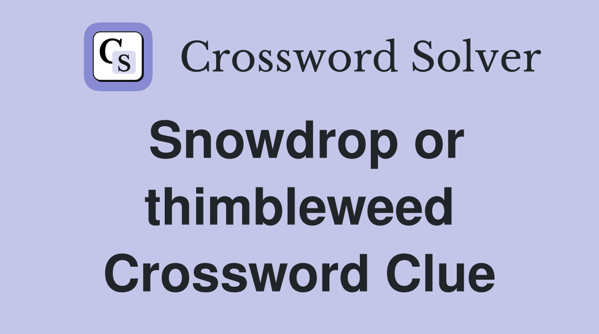 Snowdrop or thimbleweed Crossword Clue