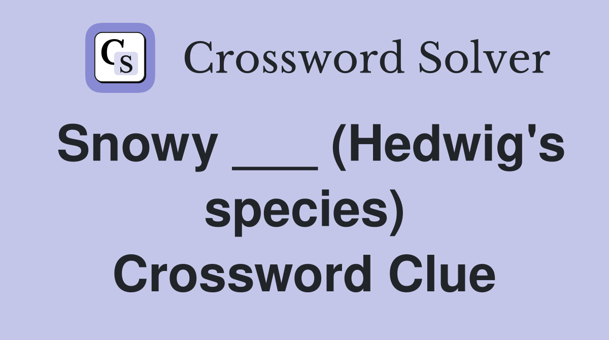 Snowy ___ (Hedwig's species) Crossword Clue