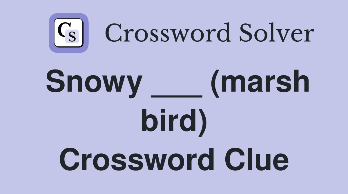 Snowy ___ (marsh bird) Crossword Clue