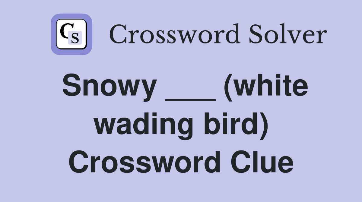 Snowy ___ (white wading bird) Crossword Clue