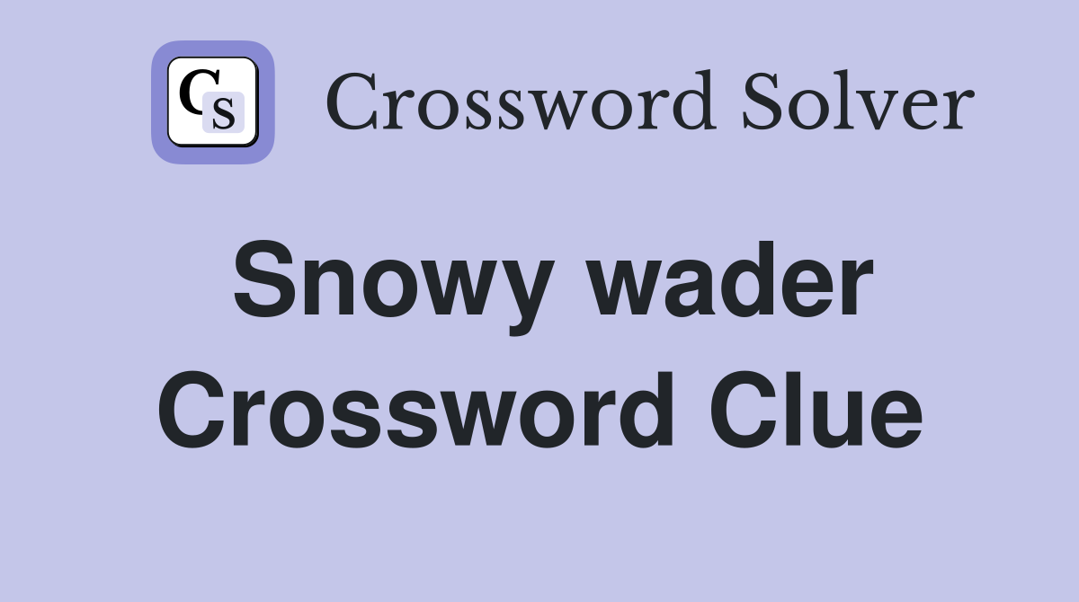 Snowy wader Crossword Clue