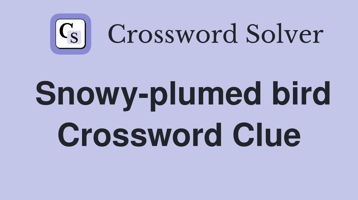 Snowy-plumed bird Crossword Clue