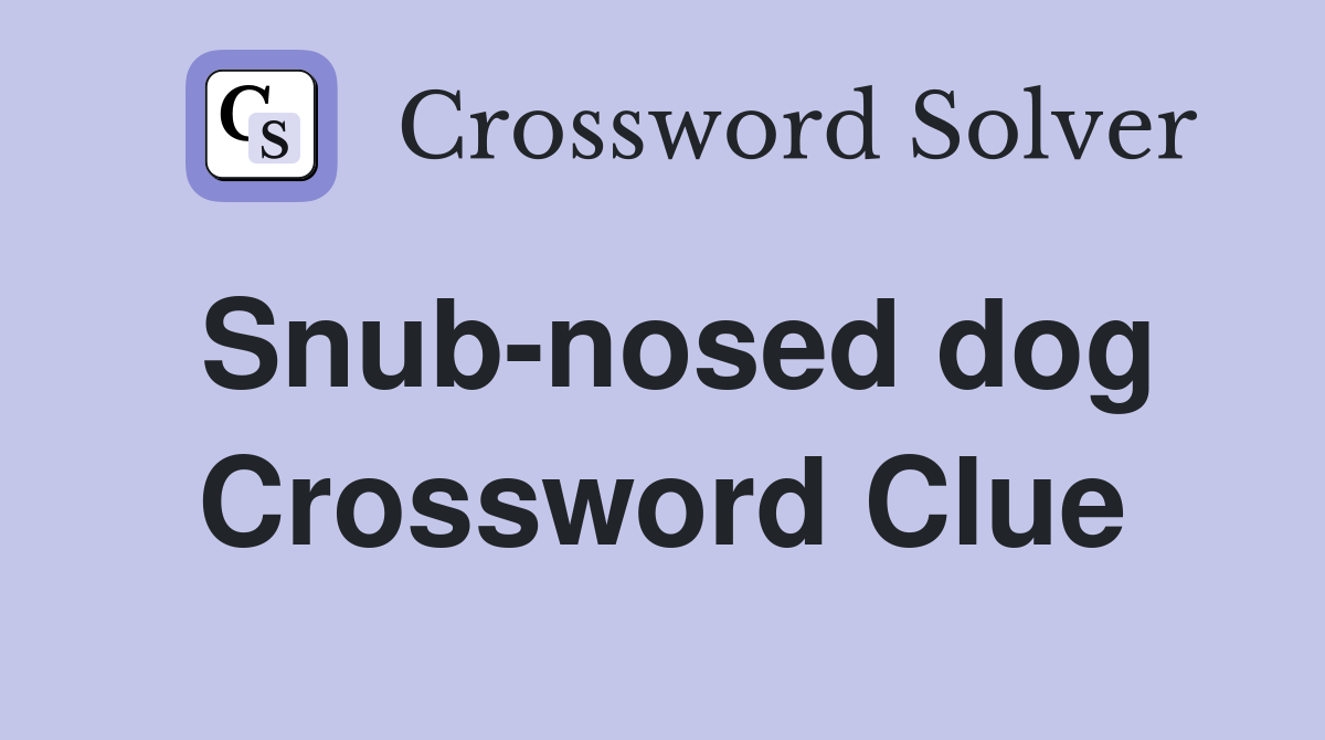 Snub-nosed dog Crossword Clue