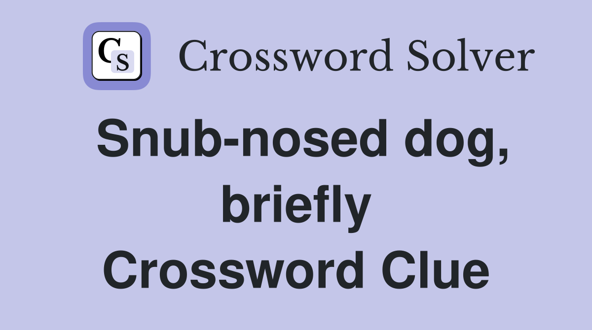 Snub-nosed dog, briefly Crossword Clue