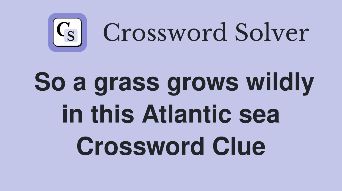 So a grass grows wildly in this Atlantic sea Crossword Clue