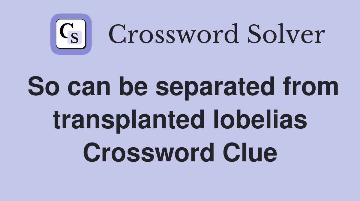 So can be separated from transplanted lobelias Crossword Clue