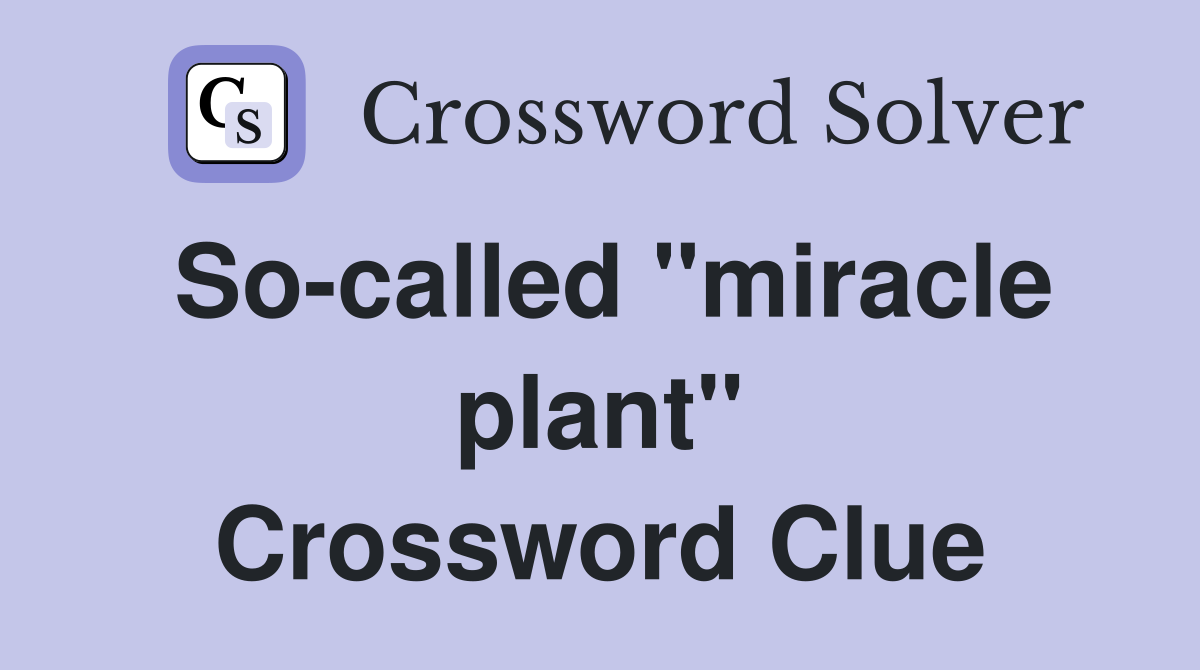 So-called "miracle plant" Crossword Clue