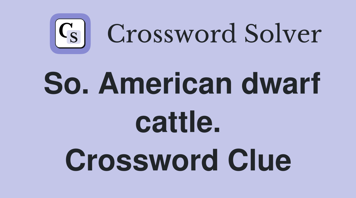 So. American dwarf cattle. Crossword Clue