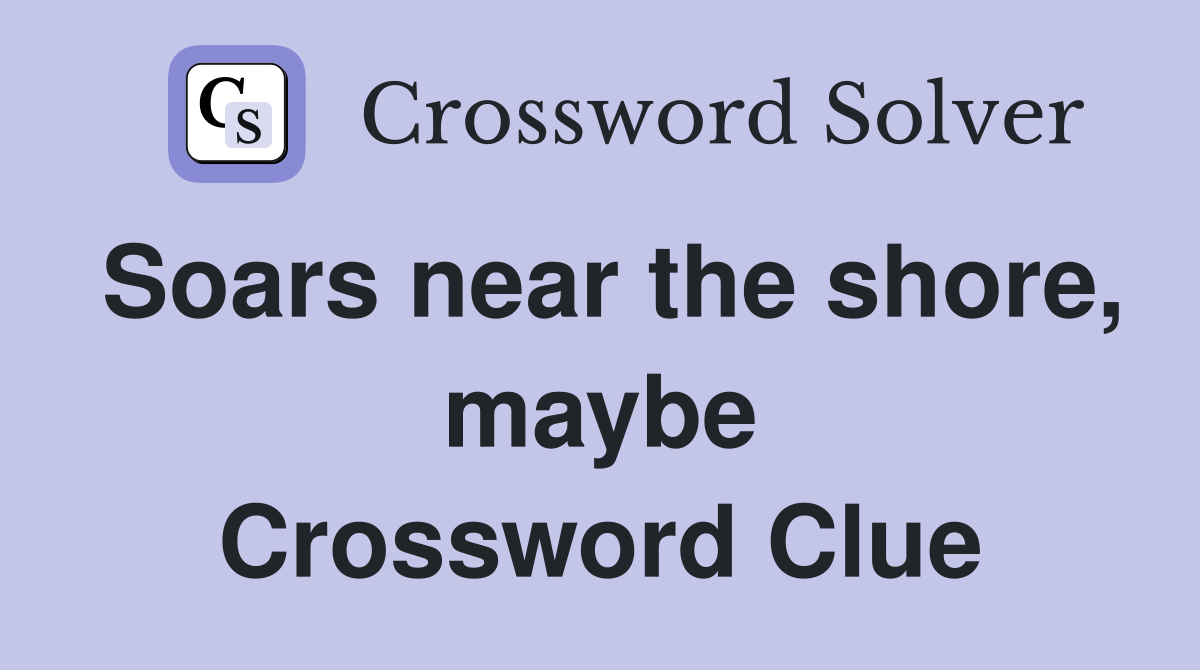 Soars near the shore, maybe Crossword Clue