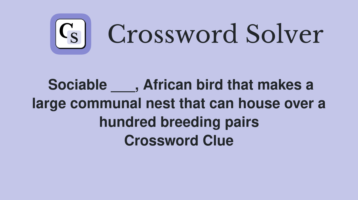Sociable ___, African bird that makes a large communal nest that can house over a hundred breeding pairs Crossword Clue