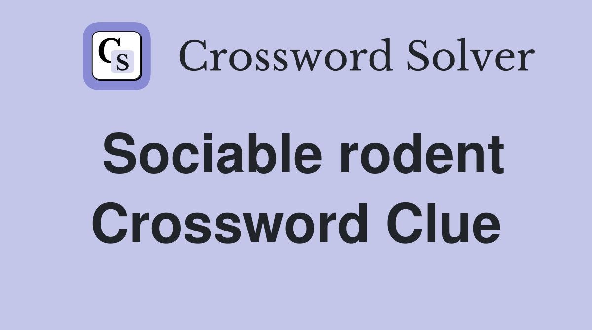 Sociable rodent Crossword Clue
