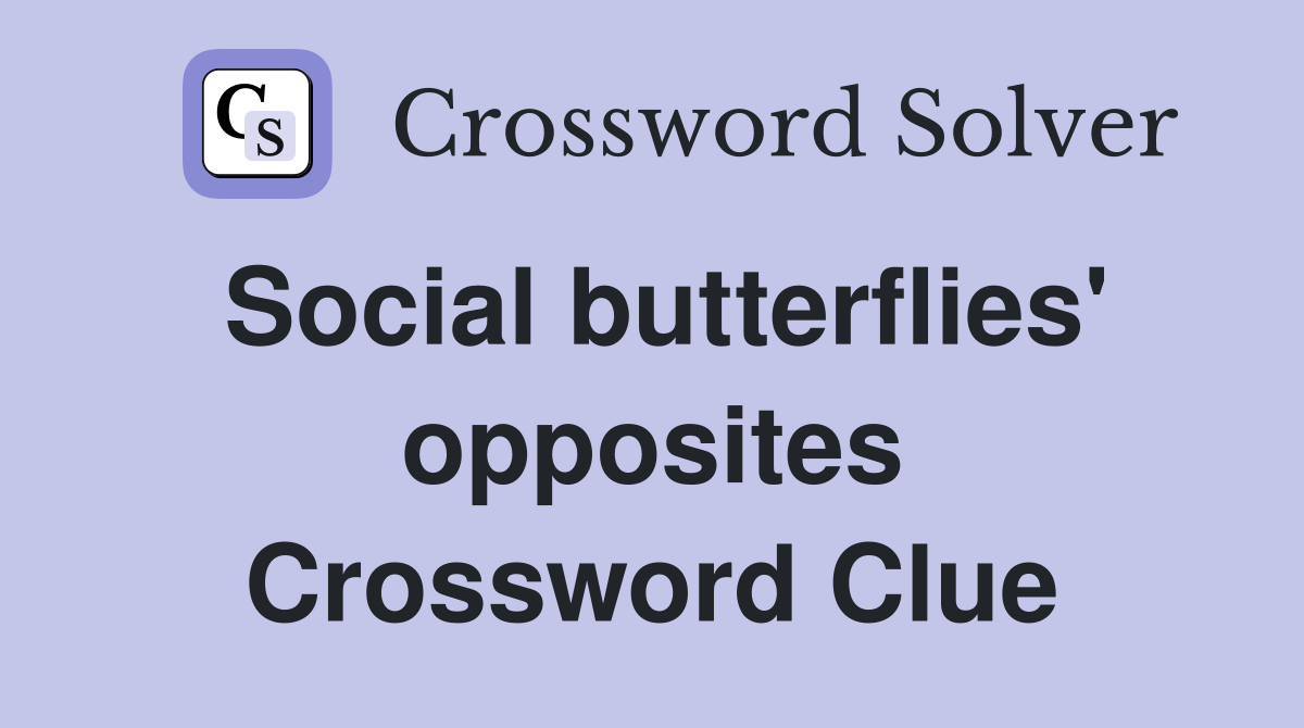 Social butterflies' opposites Crossword Clue