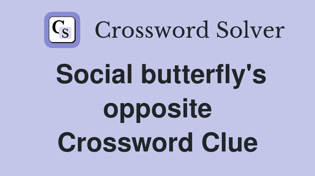 Social butterfly's opposite Crossword Clue