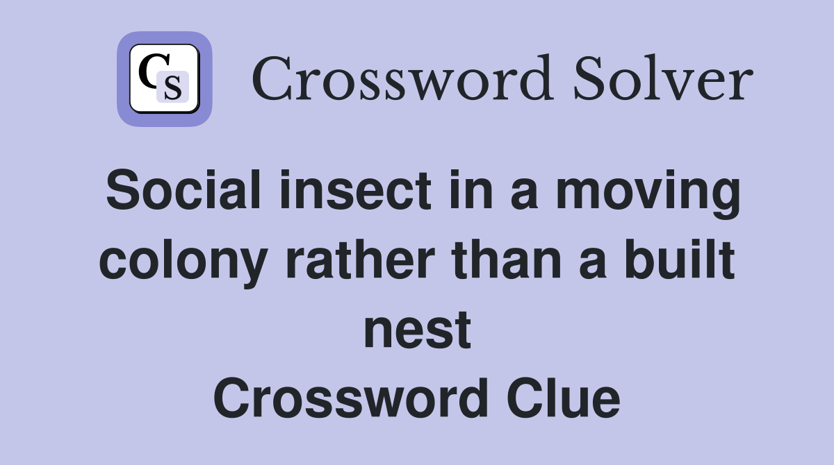 Social insect in a moving colony rather than a built nest Crossword Clue
