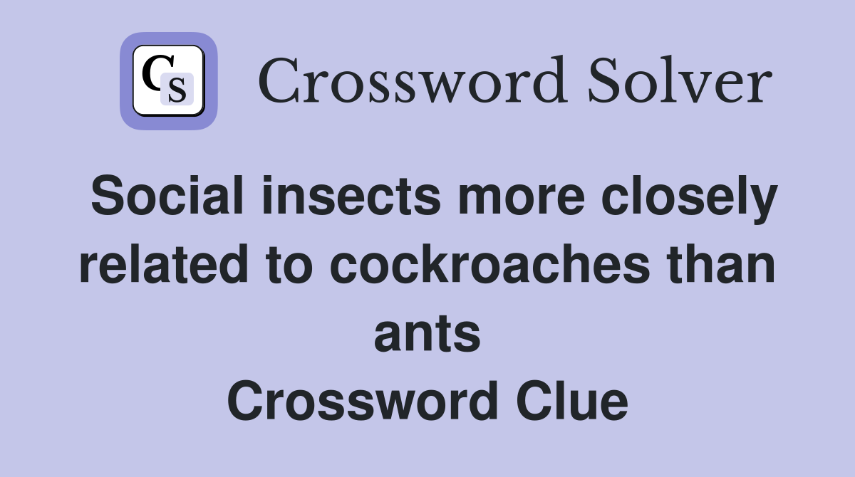 Social insects more closely related to cockroaches than ants Crossword Clue