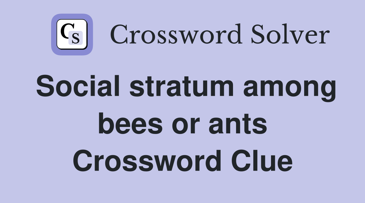 Social stratum among bees or ants Crossword Clue