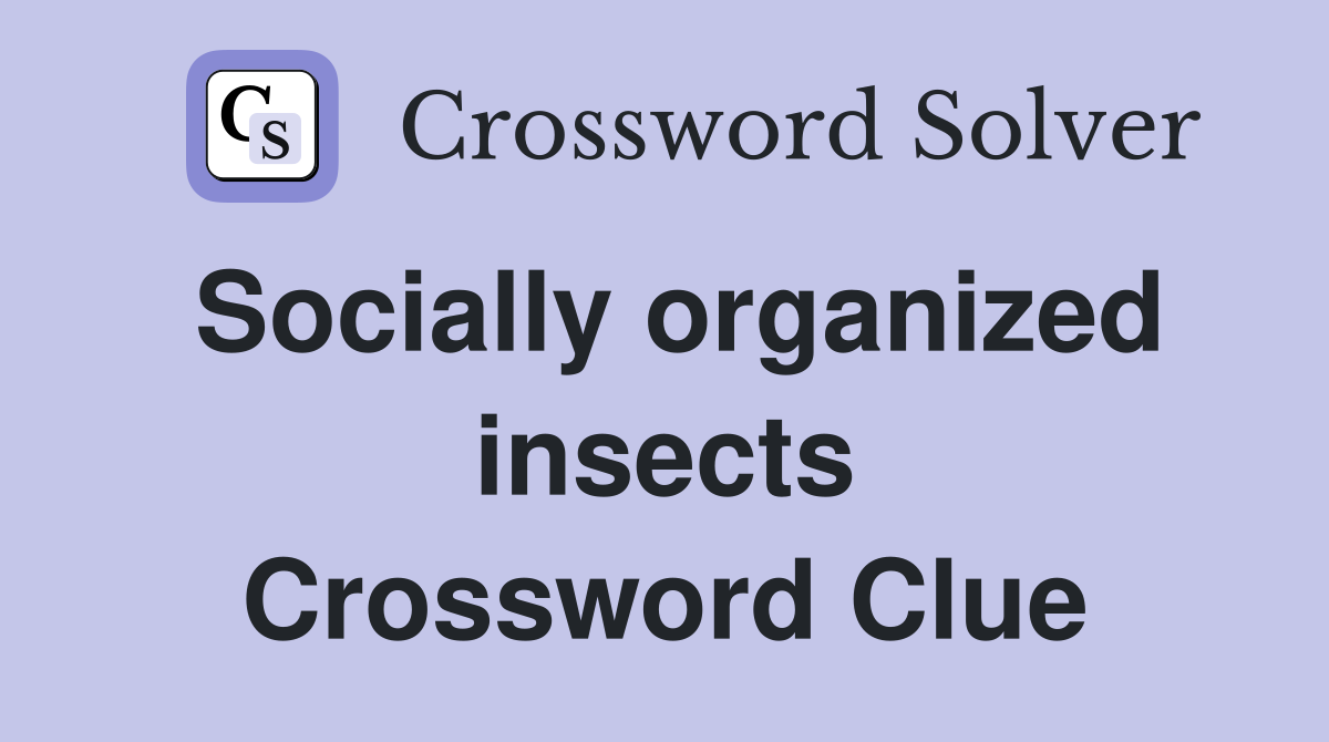 Socially organized insects Crossword Clue