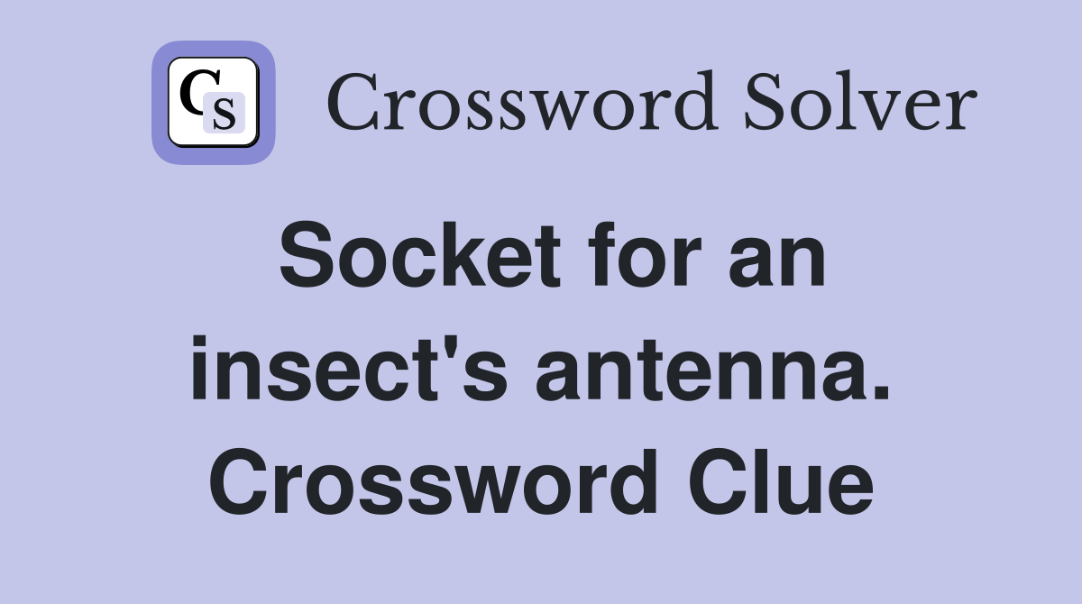 Socket for an insect's antenna. Crossword Clue