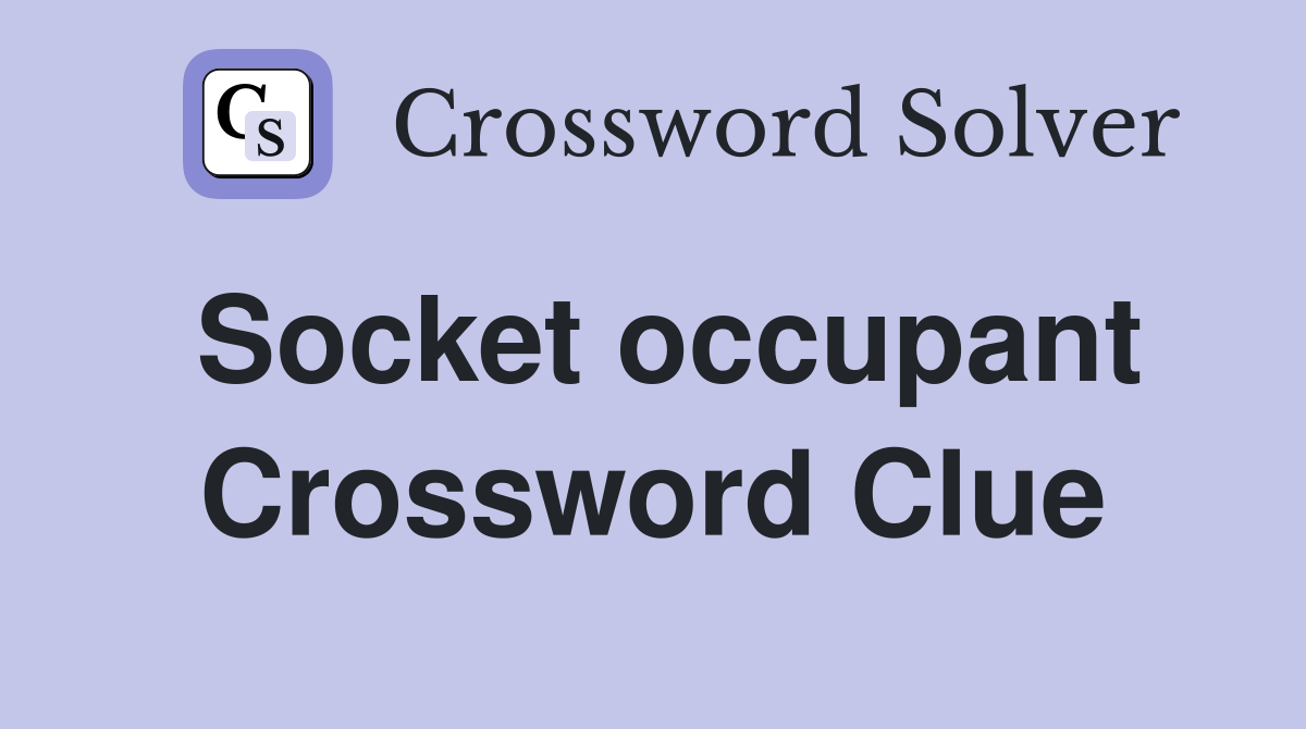 Socket occupant Crossword Clue