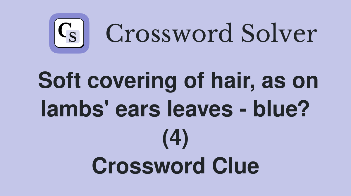 Soft covering of hair, as on lambs' ears leaves - blue? (4) Crossword Clue
