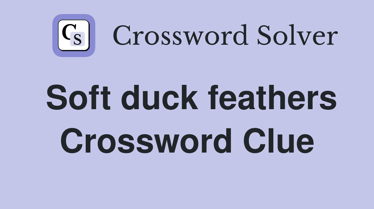 Soft duck feathers Crossword Clue