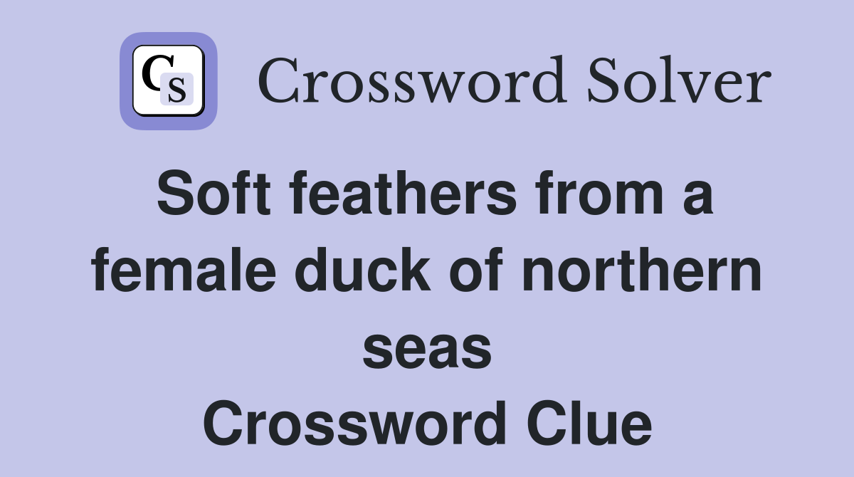 Soft feathers from a female duck of northern seas Crossword Clue