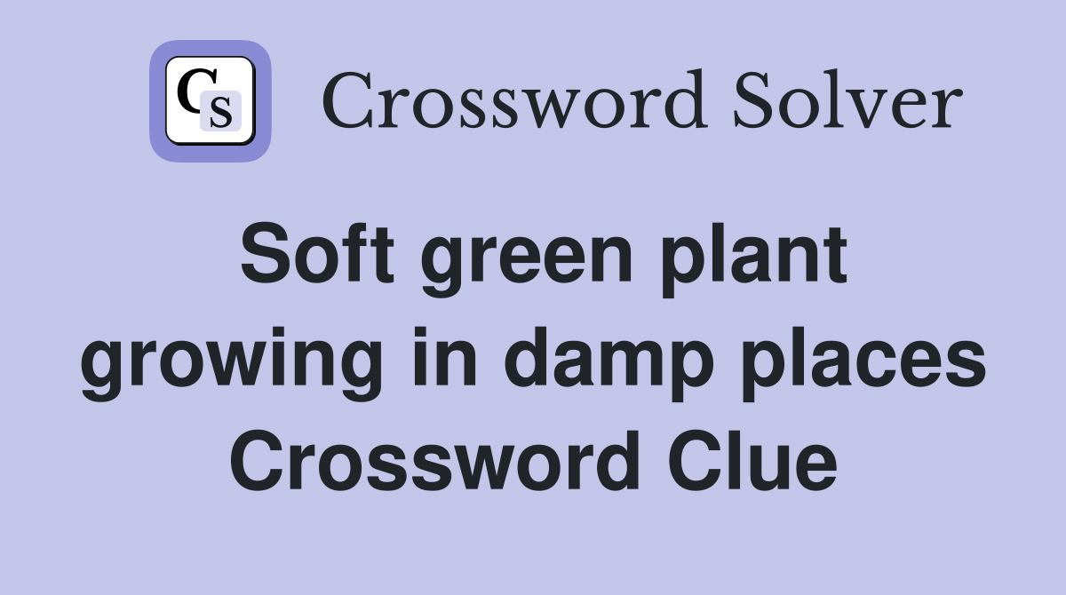 Soft green plant growing in damp places Crossword Clue