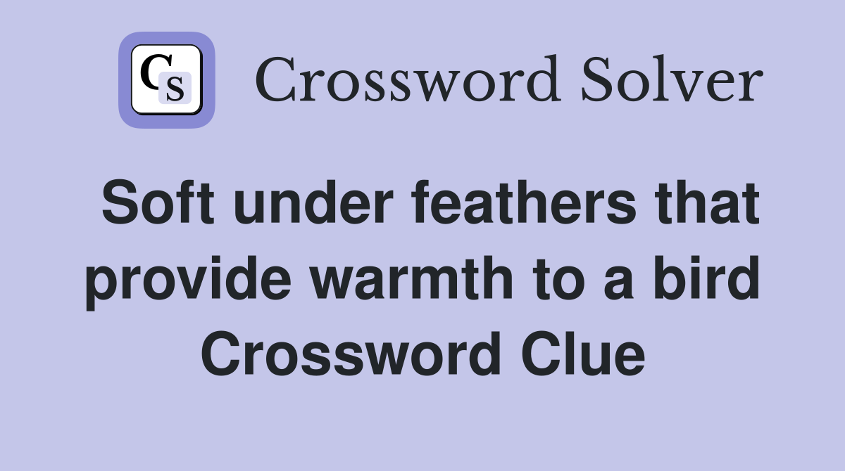 Soft under feathers that provide warmth to a bird Crossword Clue