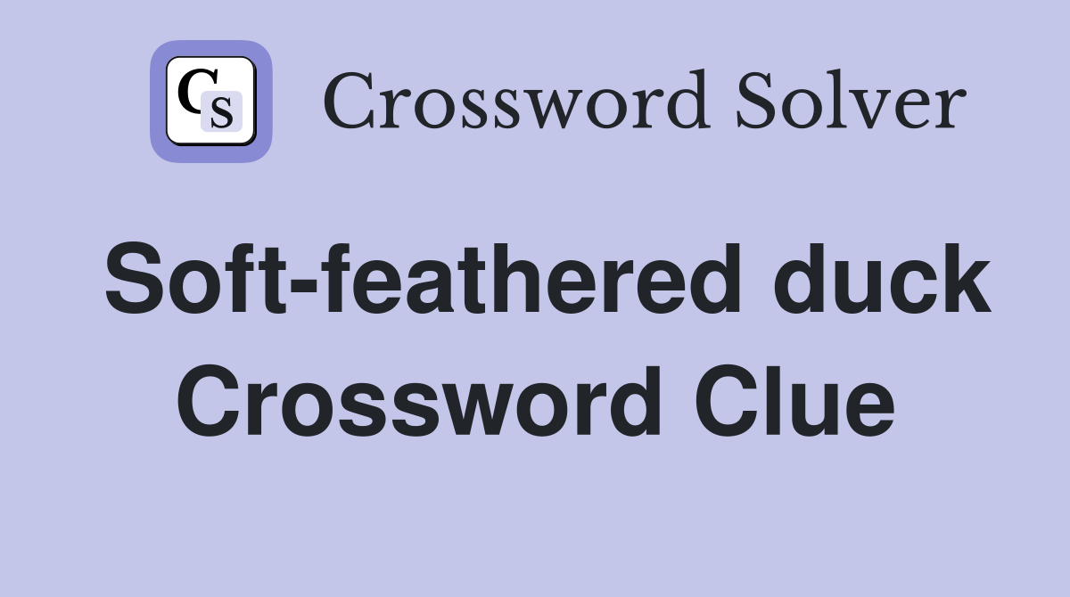 Soft-feathered duck Crossword Clue