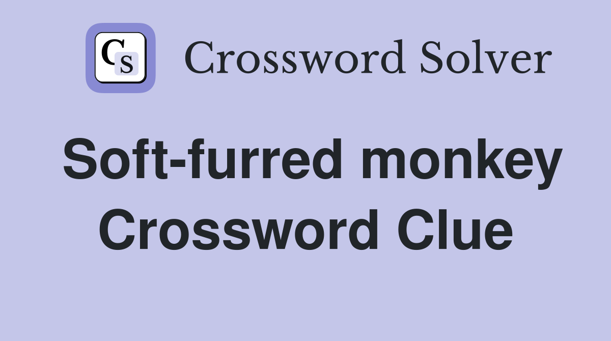 Soft-furred monkey Crossword Clue