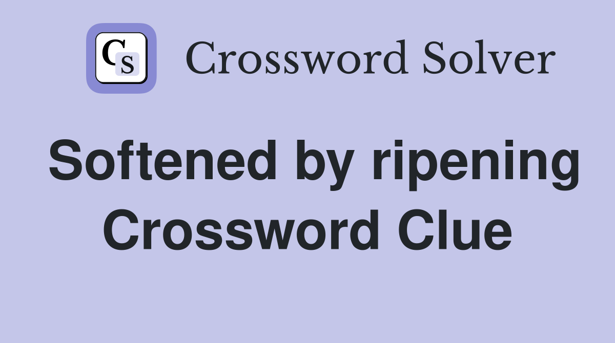 Softened by ripening Crossword Clue