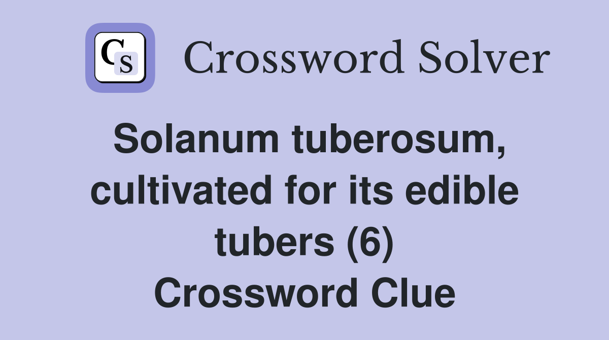 Solanum tuberosum, cultivated for its edible tubers (6) Crossword Clue