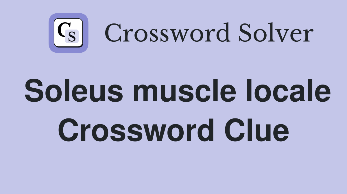 Soleus muscle locale Crossword Clue