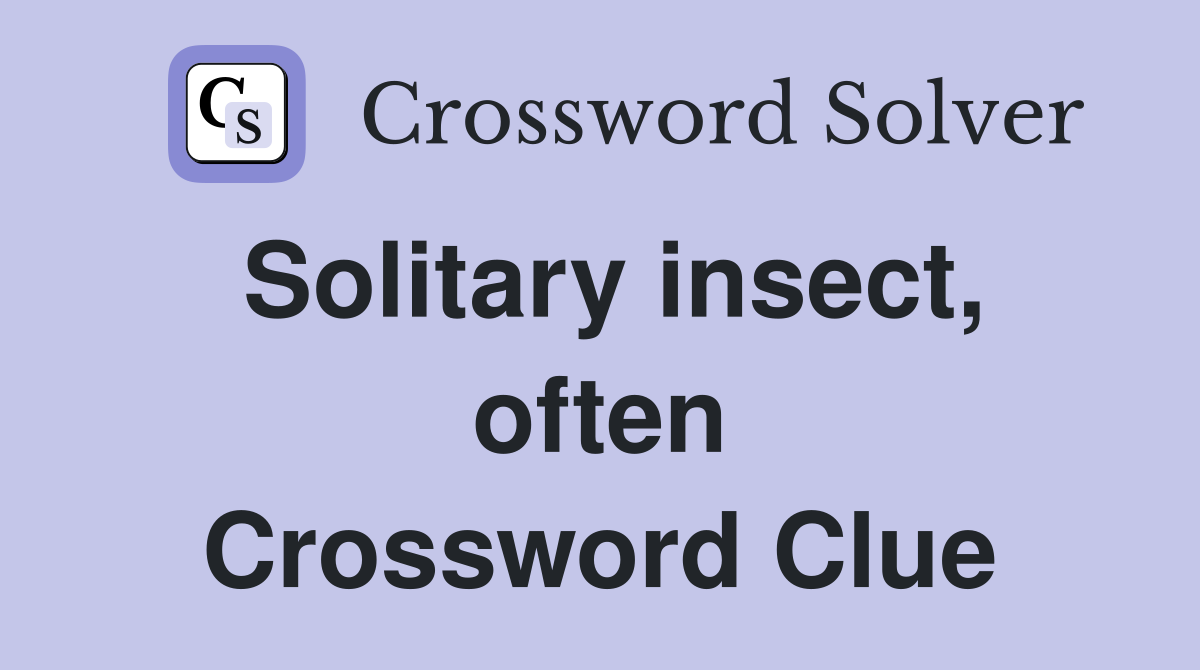 Solitary insect, often Crossword Clue